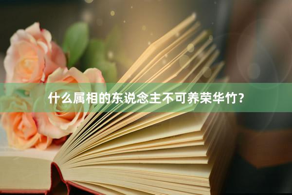 什么属相的东说念主不可养荣华竹？